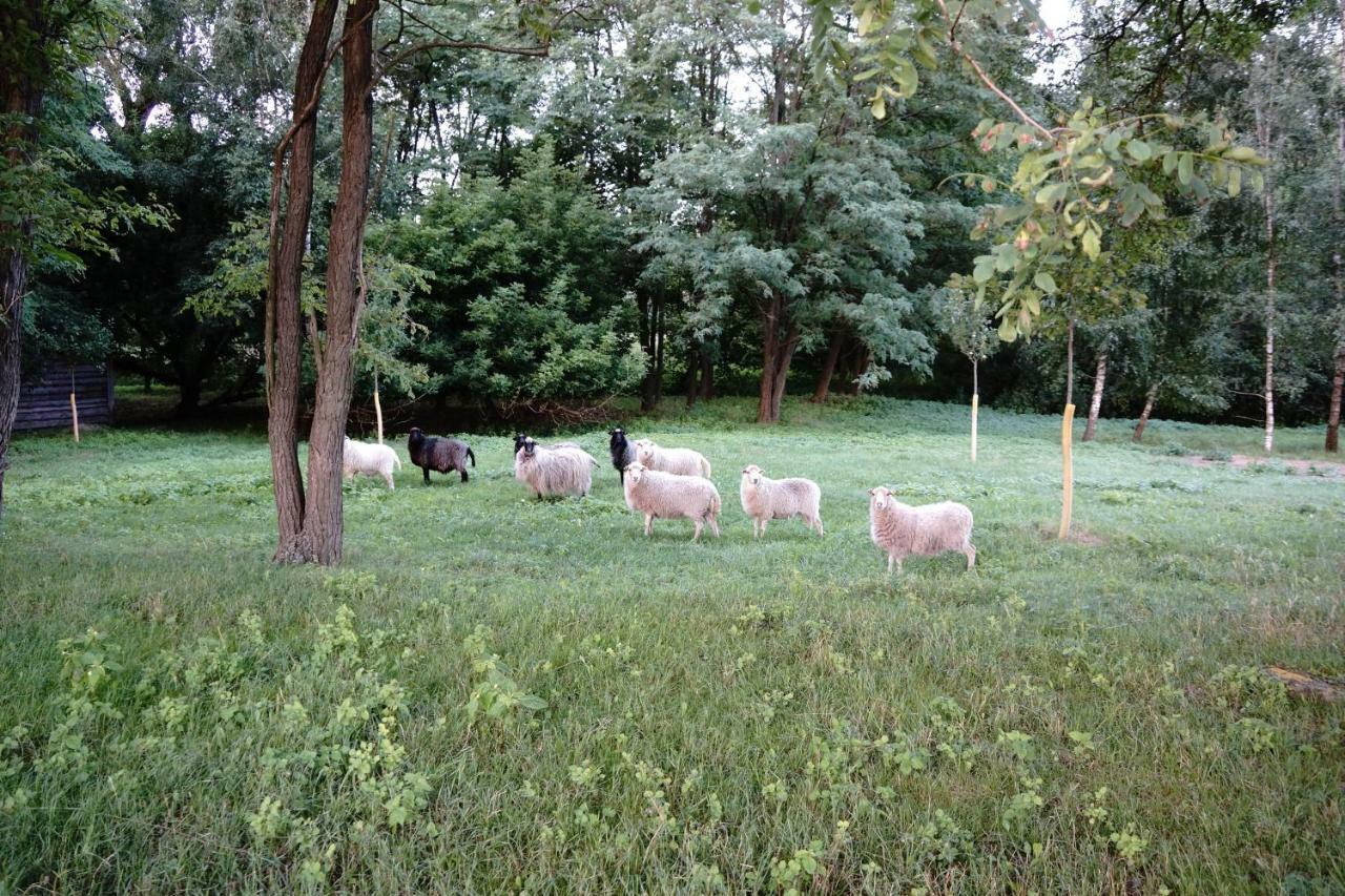 Ferien In Himmelpfort Exterior photo